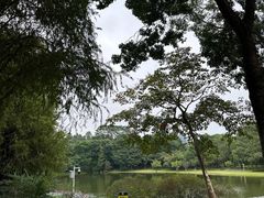 -东莞植物园