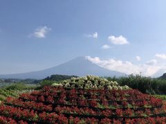 -富士山吉田線五合目