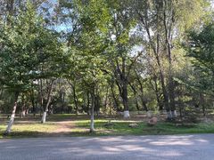 -长白岛森林公园