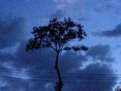 -碓臼峪自然风景区