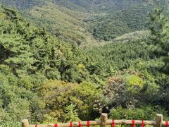 -金龙寺国家森林公园