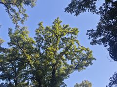 -玲珑塔公园