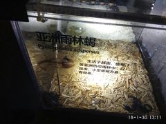 -萌宠奇缘