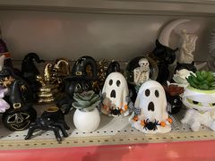 -陶缘陶瓷工厂店