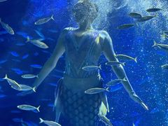 -海合安青岛极地海洋公园