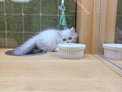 -首开·龙湖成都西宸天街