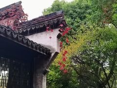 -乌镇景区