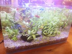 -雕刻时光咖啡馆(北苑店)