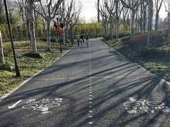 -上海山野camping·户外天幕烧烤·团建拓展营地
