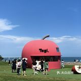 我的城市美食清单 | 阿那亚的餐饮推荐