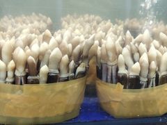 -小海豚·老字号海鲜餐厅(三亚湾店)