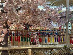 -傣宏缘·云南傣味特色菜·手抓饭·孔雀宴十六年店庆大酬宾(南屏步行街店)