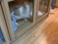 -白兔子密室(长寿路店)