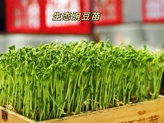 -渝味晓宇火锅(合川路店)