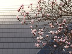 -国家大剧院