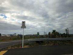 -怀托摩萤火虫洞