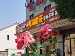 -宾湖农庄·农场特色(太湖龙之梦店)