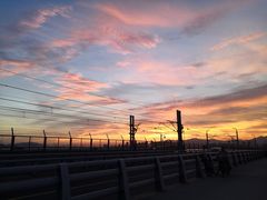 -海堤纪念公园