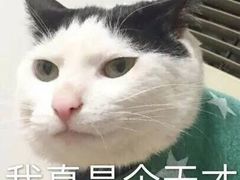 -必胜客(五道口店)