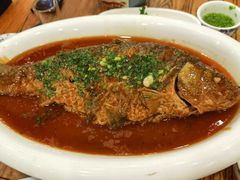 -老雒阳面馆·水席·洛阳菜(王城路店)
