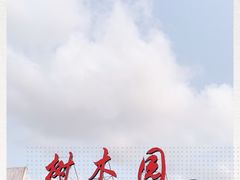 -中山市树木园