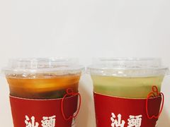 普宁梅子单枞-茶月山·潮汕茶店(天河北店)
