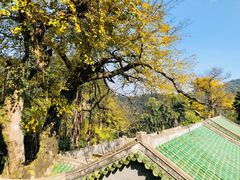 -鼎湖山风景区
