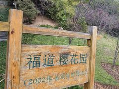 -福道