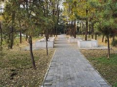 -唐城墙遗址公园