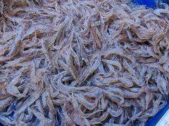 -北京清河镇农副产品交易市场中心