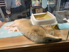 -宠物世家(仲盛世界商城店)