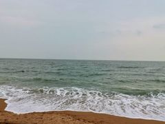 -日照海滨国家森林公园