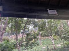 -融汇温泉