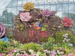 -花之城