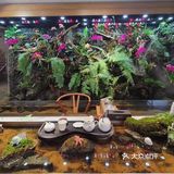 空气宜人，吃喝玩乐一条龙