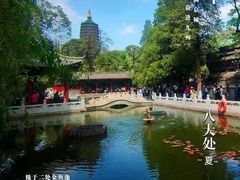 -八大处公园