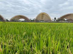 -中国天府农业博览园