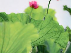 -北山街历史文化街区