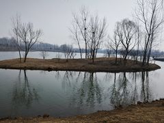-东郊湿地公园
