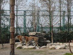-上海野生动物园