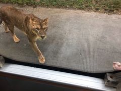 -西安秦岭野生动物园
