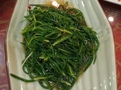 -沙洲胡杨焖饼