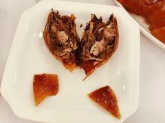 -九花山烤鸭店