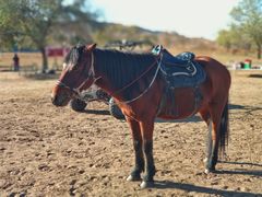 -塞罕坝国家级自然保护区