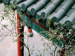 -圆通寺