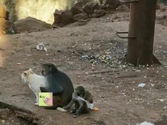 -昆明动物园