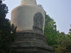 -大觉寺-停车场