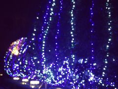 -杭州君悦酒店