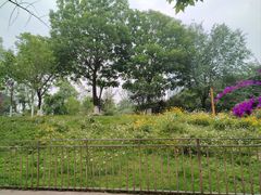 -沙河三洞古桥公园