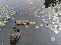 -白马涧龙池景区